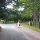 한회목장 이미지