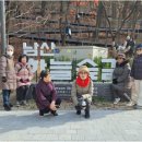 202512 남산하늘숲길 이미지