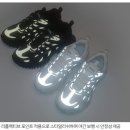 라이노어페럴 네이버블로그