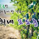 주희네 농장 이미지