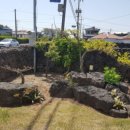 J 김녕 169 이미지