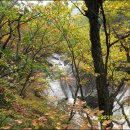 구룡목장 이미지