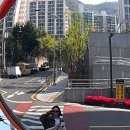 그린애견 이미지