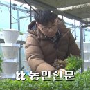장성 부자새싹인삼