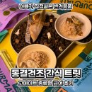 오늘의 강아지 | 고양이 강아지 함께 먹는 동결건조 간식 트릿 고메이트 종류별 후기