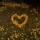 익산대로 이미지