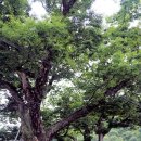 운산1리마을회관 이미지