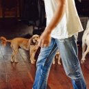 자매의하루 이미지