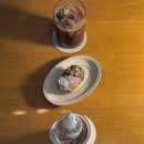모디스트 임팩트