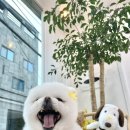 공업탑피부미용
