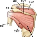 이엔아이스포츠