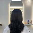 헤어리움(HAIR RIUM)