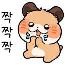 진댄스아카데미 이미지