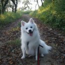 수정카마스타 이미지