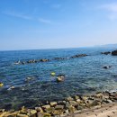 대부리 방파제 옆 이미지