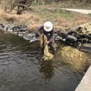 지장 김일수 이미지