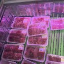 솔향정육점 | 🥩 강릉 정육식당 맛집 ‘솔향축산’ – 고기 퀄리티 미쳤다..!
