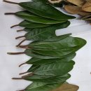 [겨울 특강] 크리스마스 리스 만들기 이미지