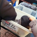 다릿돌전망대관광안내소 이미지