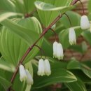 봉양농장 이미지