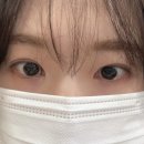 속눈썹 연장&속눈썹 펌 | [안양 속눈썹펌_르뮤트] 범계 최초 텐션펌, 속눈썹 연장 + 속눈썹 펌 후기