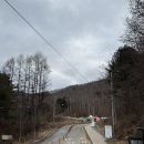 설피공간 | [강원 인제] 겨울의 <원대리 자작나무숲>과 설피마을 <고메똥골>에서의 힐링, 이미 단골이 되어버린...