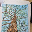 재궁동 행정복지센터 이미지