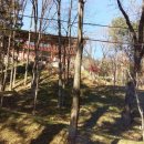 한신아파트 앞 이미지