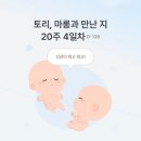 450˚C고등어 | 임산부 영양제 추천 (유산균, 오메가3, 비타민D 등 - 임신 중기 영양제)