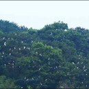 백로마을 이미지