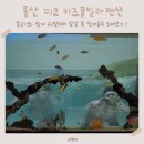 방어진마트 | 울산 피코 키즈풀빌라 , 이색적인 아쿠아리움 수영장에서 1박2일 솔직후기 !