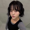 나나PC | 홍대 미용실 #나나머리 단발 빈티지펌 소개및컨설팅 @리어드 장하경