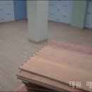 새소망어린이집 이미지