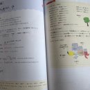 조수사 | 일본어 형용사, 조수사 공부!(일본어 기초 회화, 일본어 내돈내산)