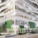 올리브향기 이미지