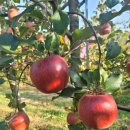 도담도담농장 이미지