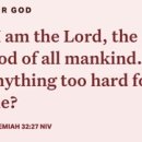 진성할인마트 이미지