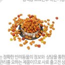 메디코 이미지