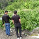 하사마을 이미지