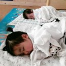 지코바덕소 | 심씨의 일상씨부리바리~ 먹다죽은귀신 붙인듯 스승의날선물 성공!