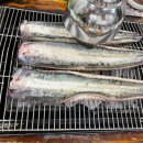 불수성풍천장어 이미지