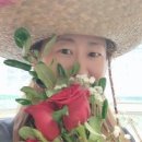 거짓말쟁이 VS 범죄자 (aka. 미국 대통령 선거戰 TV토론 CNN 생방송) 이미지