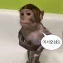데이포짐 | crazy‼️KK🇲🇾