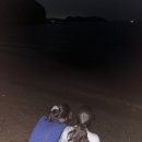 스윗베이커리 네이버블로그