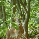 꽃을든남자 이미지