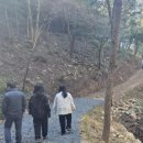 보은산 웹이코노미