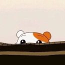 초이하우스 이미지