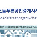 늘푸른공인중개사사무소 이미지