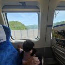 드래곤마운틴 | 강원도 모나용평리조트 그린피아콘도 가족여행 후기(38 마운틴뷰, 산책코스, 진부역 셔틀타는곳 및 시간)