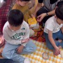 가을 숲으로 놀러가자 이미지